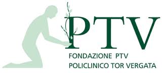 Logo PTV